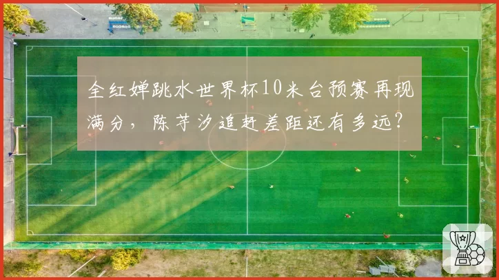 全红婵跳水世界杯10米台预赛再现满分，陈芋汐追赶差距还有多远？